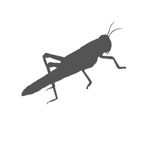 7shin logo